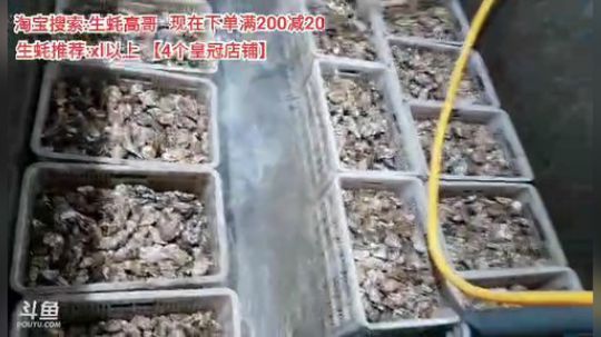 西北老狼哥哥发布了一个斗鱼视频2019-11-10