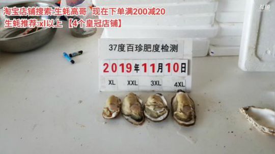 西北老狼哥哥发布了一个斗鱼视频2019-11-11