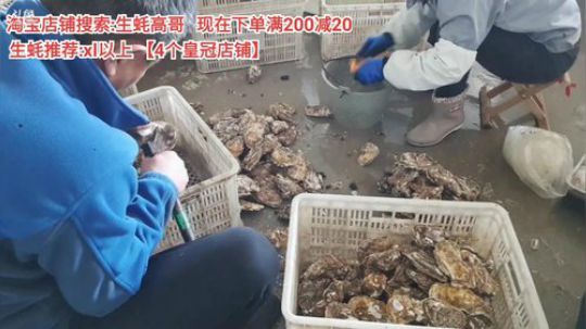 龙马精神丶老狼哥发布了一个斗鱼视频2019-11-11