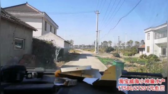 科头溜子发布了一个斗鱼视频2019-11-11