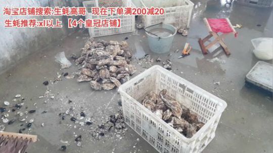 龙马精神丶老狼哥发布了一个斗鱼视频2019-11-11