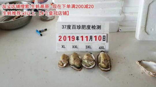 西北老狼哥哥发布了一个斗鱼视频2019-11-11