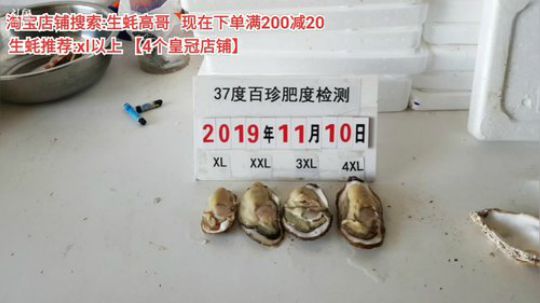 西北老狼哥哥发布了一个斗鱼视频2019-11-11