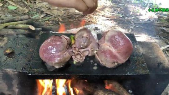 我本善良72发布了一个斗鱼视频2019-11-12