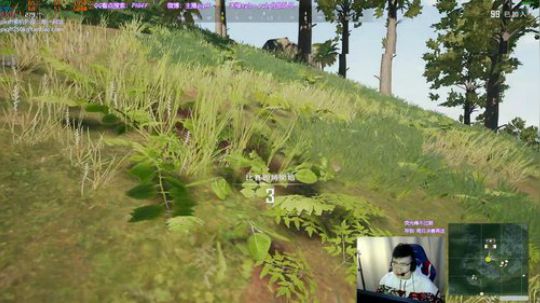 我在斗鱼看pigff直播绝地求生