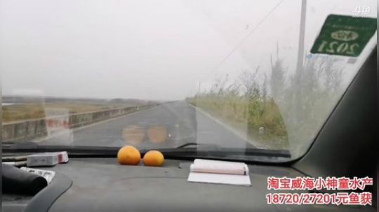 科头溜子发布了一个斗鱼视频2019-11-13