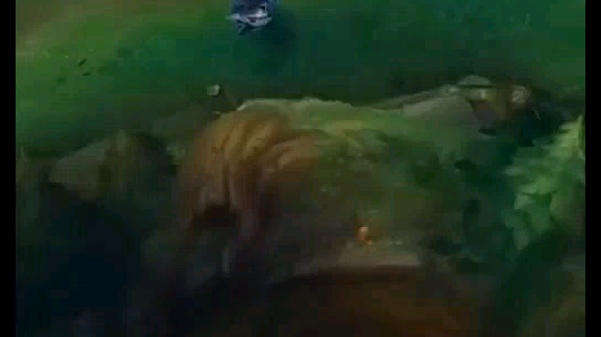 极限反杀～