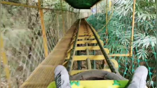 青年看中国万州站 2019-11-13 14点场