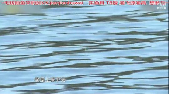 我在斗鱼看贱贱钓鱼直播乡野