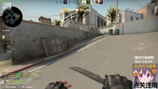 捕获一只野生的单身狗@量仔妹妹 2019-11-14 00点场