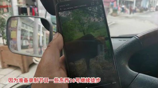 开心打野快乐美食 2019-11-14 10点场