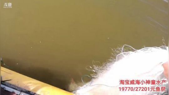 哆啦爱梦梦发布了一个斗鱼视频2019-11-14