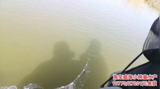 哆啦爱梦梦发布了一个斗鱼视频2019-11-14