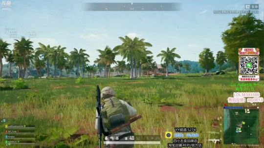 吃鸡霸主蓝战非 2019-11-14 17点场