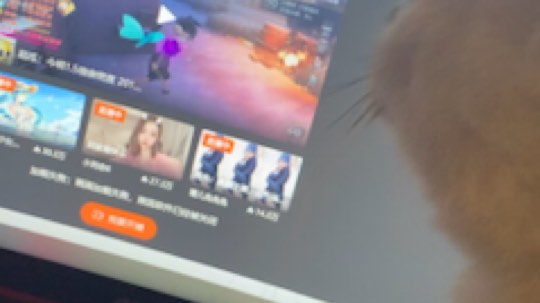 小奶狗甜瓜发布了一个斗鱼视频2019-11-14