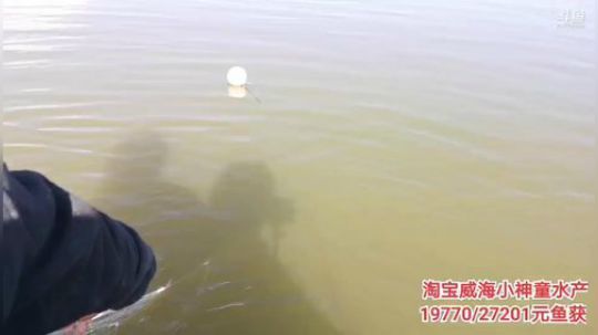 哆啦爱梦梦发布了一个斗鱼视频2019-11-14