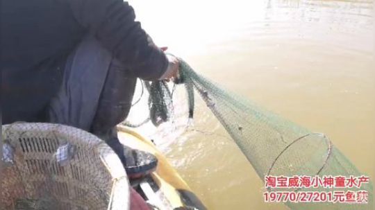 科头溜子发布了一个斗鱼视频2019-11-14