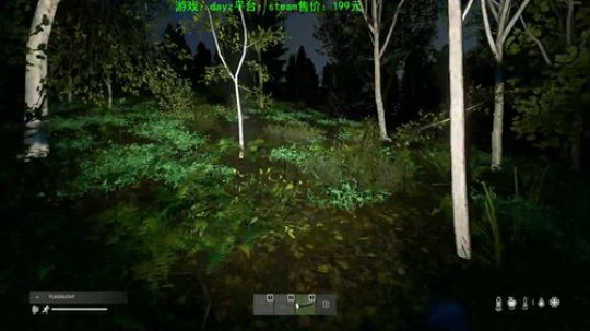 dayz 僵尸末日 2019-11-15 17点场