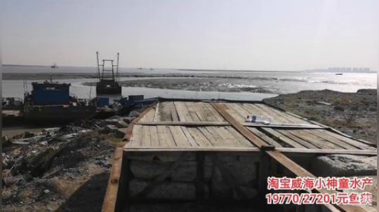 科头溜子发布了一个斗鱼视频2019-11-16