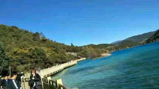 妍子姑娘发布了一个斗鱼视频2019-11-16