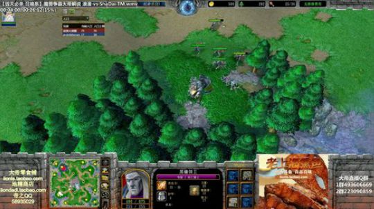 我在斗鱼看大帝LioN直播魔兽争霸