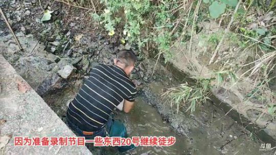 哆啦爱梦梦发布了一个斗鱼视频2019-11-16