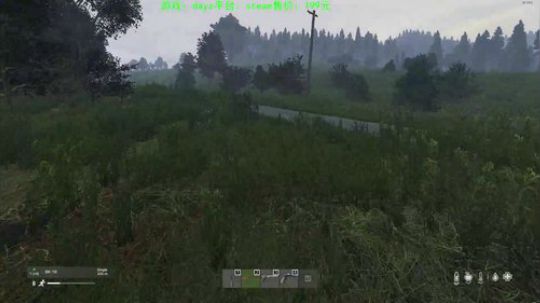 dayz 僵尸末日 2019-11-16 16点场