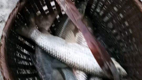 晚餐到手[呲牙]