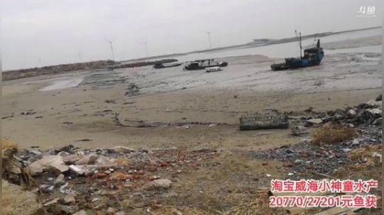科头溜子发布了一个斗鱼视频2019-11-17
