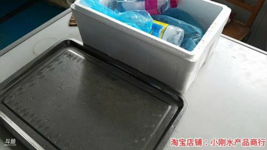 哆啦爱梦梦发布了一个斗鱼视频2019-11-18