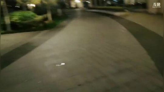 白鲨三井的直播间 2019-11-16 18点场