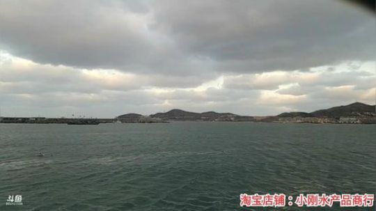 风里雨里，海鲜走起。 2019-11-18 16点场
