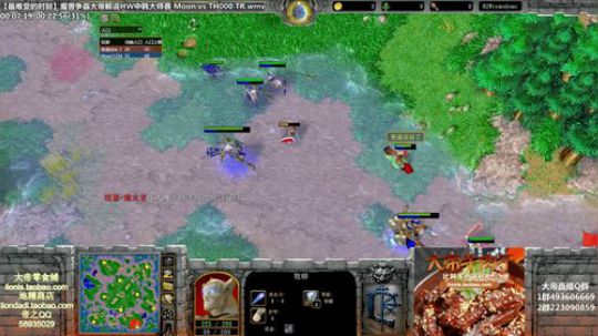 我在斗鱼看大帝LioN直播魔兽争霸