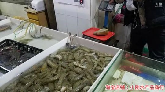 风里雨里，海鲜走起。 2019-11-18 14点场