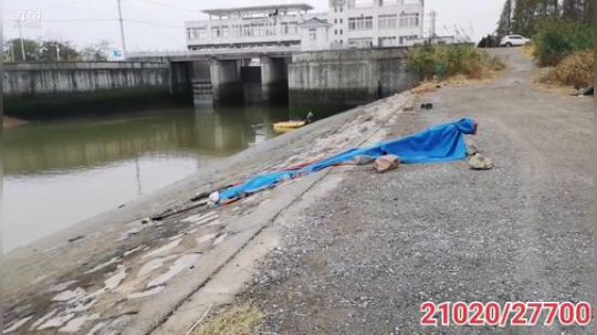 科头溜子发布了一个斗鱼视频2019-11-18