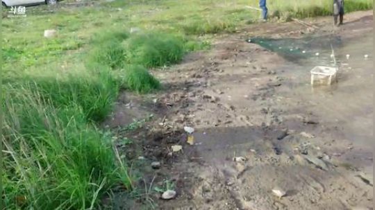 双倍亲密度，水友赶往现场ing!! 2019-11-18 13点场