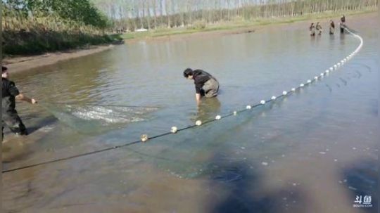 勇士出击抓鱼 2019-11-19 10点场