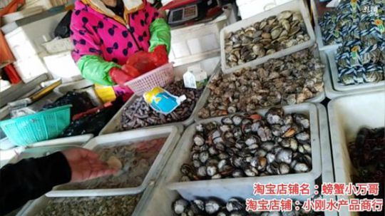 丿Good丶发布了一个斗鱼视频2019-11-19