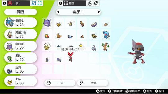 真新镇小天 2019-11-19 01点场