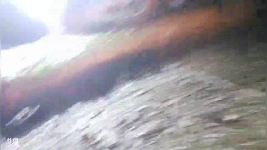 勇士出击抓鱼 2019-11-19 18点场