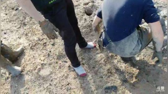 晋级星耀，每时每刻都在上 2019-11-20 14点场