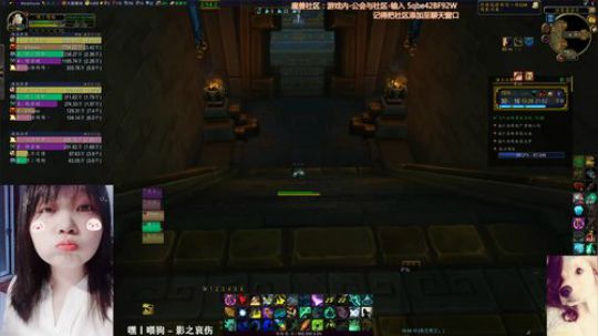 # 狗爷 - 我们都值得被缘分眷顾 2019-11-17 19点场