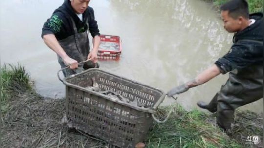 晋级星耀，每时每刻都在上 2019-11-20 16点场