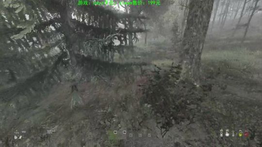 dayz 僵尸末日 2019-11-19 20点场