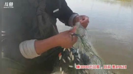 十一郎君01发布了一个斗鱼视频2019-11-20