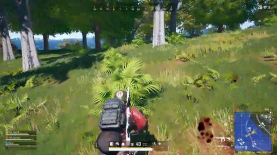 元气满满的一天~ 5692787 2019-11-20 00点场