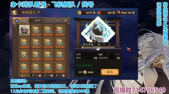 对萌新最友好的直播间 2019-11-18 00点场