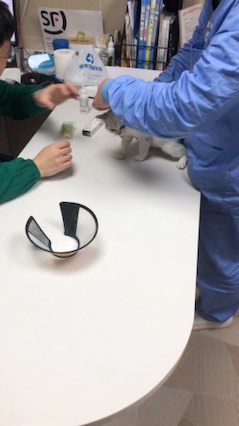 Sumiya丶墨岩彧发布了一个斗鱼视频2019-11-20