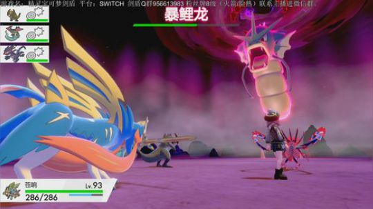 伽勒尔守夜人，剑盾开冲！斗鱼最强！ 2019-11-19 05点场