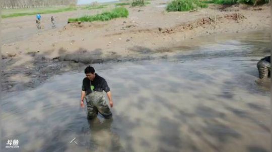 晋级星耀，每时每刻都在上 2019-11-20 12点场